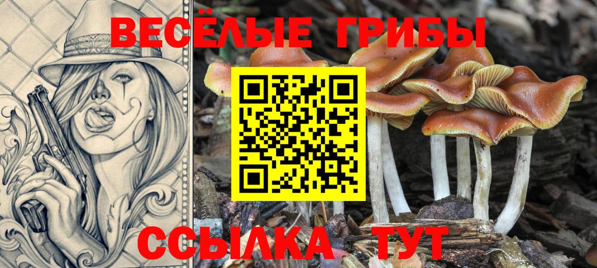 Псилоцибиновые грибы Magic Shrooms  Вход с VPN  Майкоп 